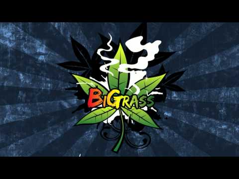 BiGrass & Stiff - Darmowy Dar Mowy