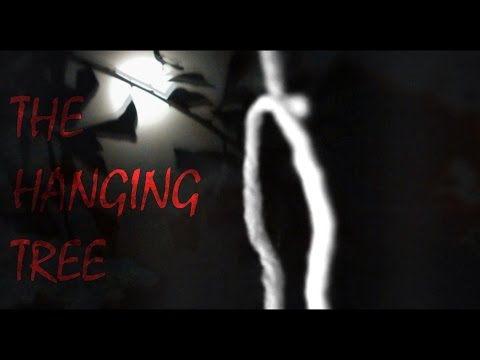 The Hanging Tree: A Breyer Horse Music Video