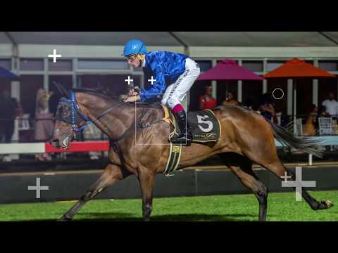 Gauteng Summer Cup | Racing