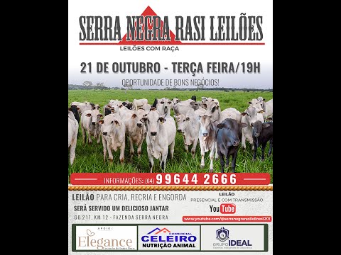 LEILÃO  SERRA NEGRA RASI LEILÕES - PIRACANJUBA - GO | 21 DE OUTUBRO DE 2025