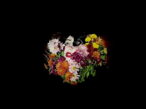 FISH- CONSOLE ME: KTL11V