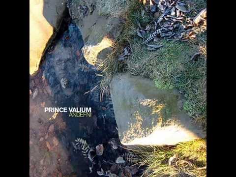 Prince Valium - Electropet