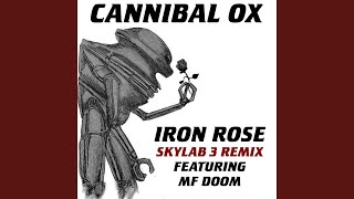 Iron Rose (Skylab 3 Remix)