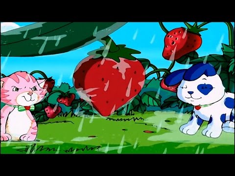 Video thumbnail for It’s All How You Look At It