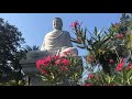 White Sands Buddhist Center Mims Florida