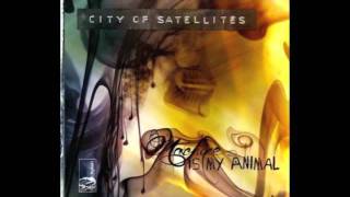 City of Satellites - Skeletons