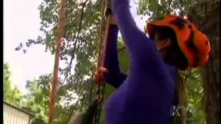 preview picture of video 'KY3's Emily Wood Climbs tree with Noel - Tree Cutter Springfield MO'