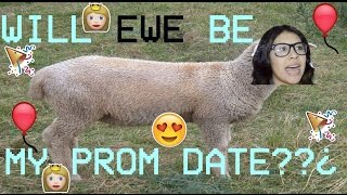 5 COOL WAYS TO ASK SOMEONE TO PROM