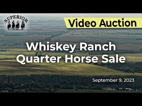 Whiskey Ranch Quarter Horse Sale