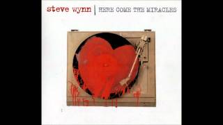 Steve Wynn - Crawling Misanthropic Blues