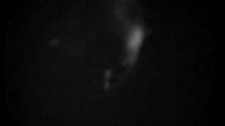 Dominique A - Le courage des oiseaux accoustique