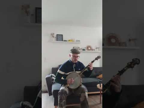 Banjo ténor Vega composite imagen 7