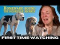 HOMEWARD BOUND Made Me SOB Uncontrollably