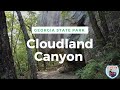 Cloudland Canyon State Park Campground Review, North Georgia Camping & Hiking Destination
