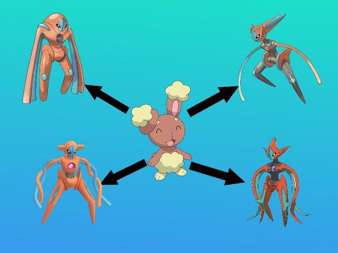 Finalmente il coniglio si evolve