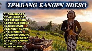 Download lagu JAVANESE SONG OF HOMESICKNESS mp3