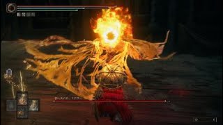 狂い火の王、ミドラー戦パリィ＆しゃがみ回避