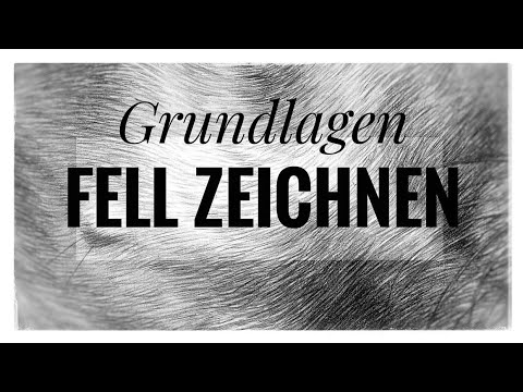 Fell zeichnen lernen - Grundlagen