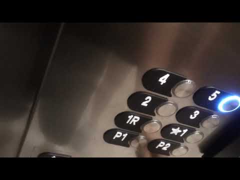 3 minute ride On The Fast Otis Series 7 Hydraullic Elevator At The Carolinan Aparment Building, Rale