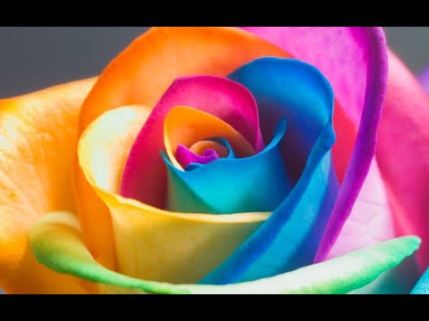 Ellie Goulding X Burns - Midas Touch {Bonus Track} {Slowed} {One Hour}