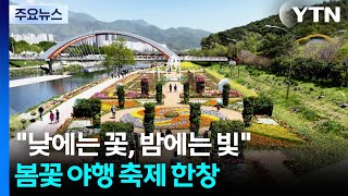 낮에는 꽃, 밤에는 빛...봄꽃 야행 축제 한창 / YTN