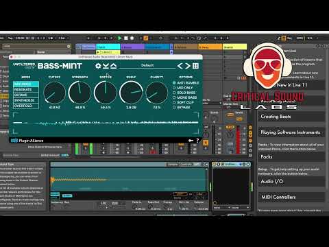 How to use Bass Mint. to make your kick drums bang!
