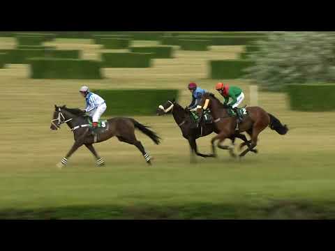Dostihy Most 12. 6. 2022 - 5. dostih - Steeplechase Royal Mouginse