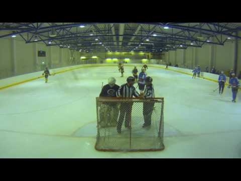 HockIT-RoKi Team 15.2.2017