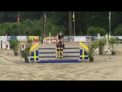 Cristallo II x Dollar dela Pierre x Pilot