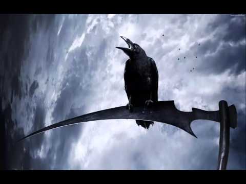 REDOK x CIEMNA MATERIA