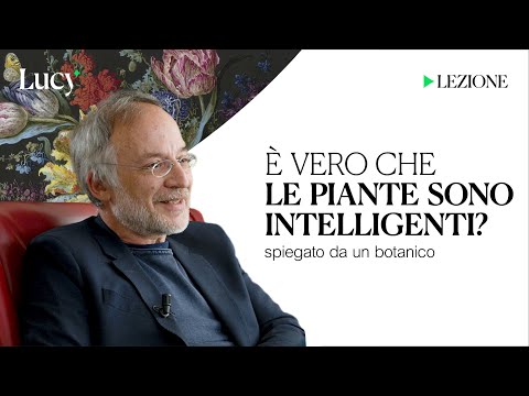 È vero che le piante sono intelligenti? La lezione di Stefano Mancuso | Lucy - Sulla cultura