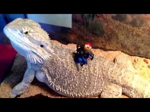 Happy birthday, Jamie!!