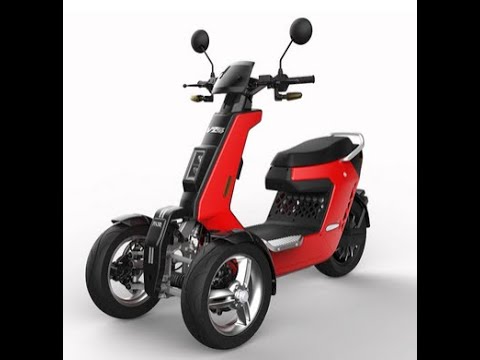 3 Wheel Electric Reverse Trike with EEC Approved