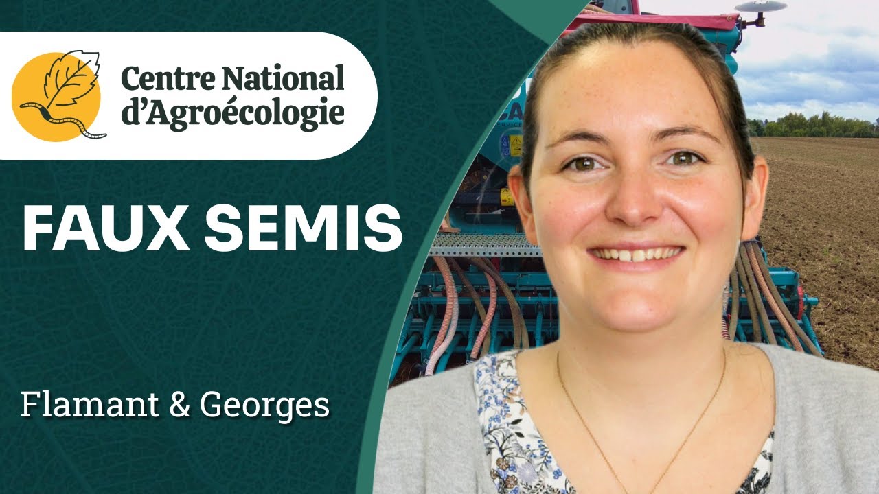 Réduction du stock de graines d’adventices par faux-semis, M Flament, H Georges - CNA