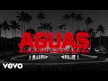 Luis R Conriquez, Neton Vega, Rey Quinto - Aguas (Official Video)
