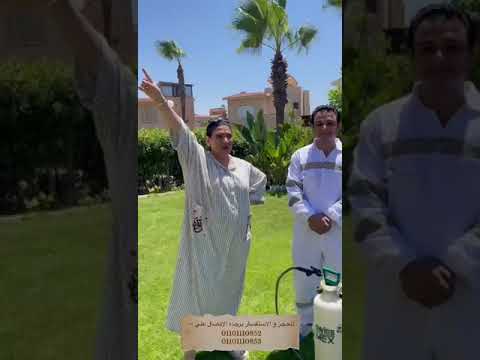 بدرية طلبة رأيها في الخدمة