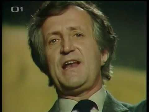 Pavel Bobek - Stárnoucí mladík (1984)