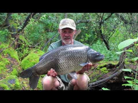 Dave Lane Carp Blog - July swim roulette on the big lake!