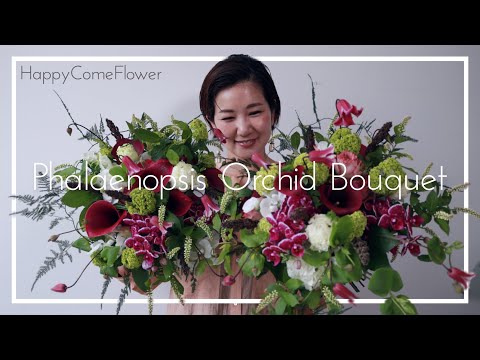 ミスカンサス 'ストリクトゥス' 植物