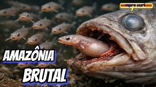 Biologia BIZARRA: Animais Mais Perturbadores Da Amazônia ⚠️ (COMPILADO)