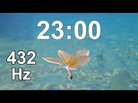 23 Minute Timer - Countdown - Clock Timer