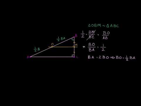 الصف الحادي عشر الرياضيات الهندسة المركز المحيطي للمثلث القائم