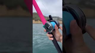 Ultimate Setup for Foamer Bluefin: Cast Long, Catch Big!