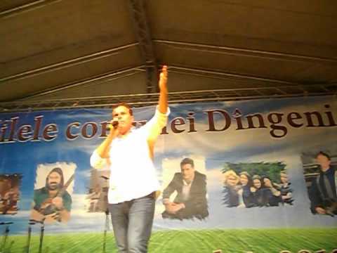 Zilele comunei Dingeni