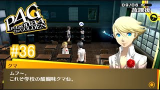 【ペルソナ4 ザ・ゴールデン】なんでクマが学校おんねん #36【実況】