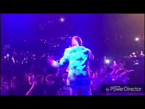 Ingo ohne Flamingo im Einsatz für den Weltfrieden..