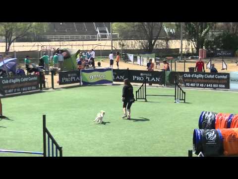 Anna Mel Jumping G2   E