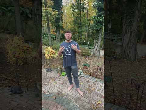 6 Supps I Take Every Day