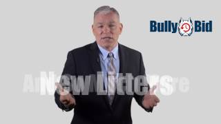 Bully Bid Commercial