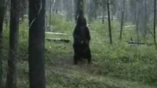 Montana Pole Dancing